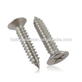 Aço inoxidável 316 cabeça escareada Self Tapping Screw